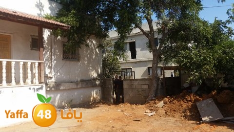 dahmashasudwq (19).jpg